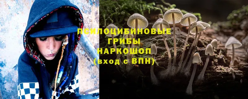 Псилоцибиновые грибы Magic Shrooms  даркнет наркотические препараты  Кимры 